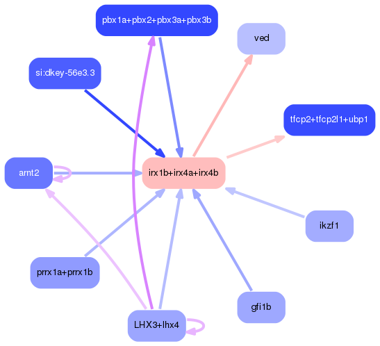 PNG image of the network