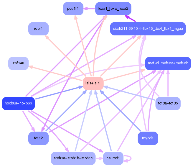 PNG image of the network