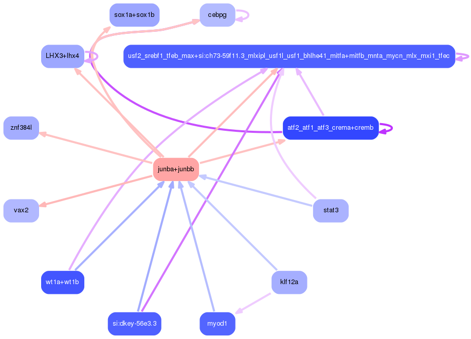 PNG image of the network