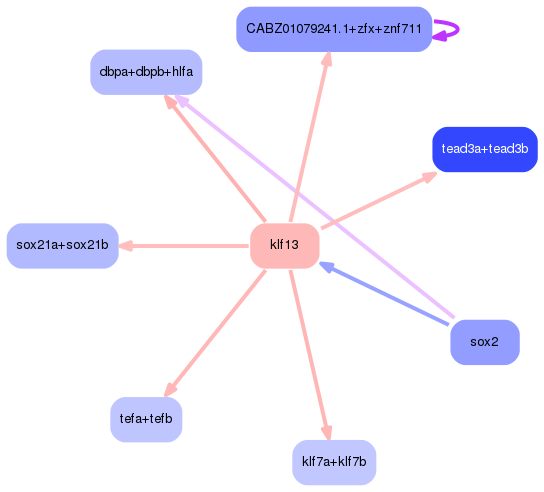 PNG image of the network
