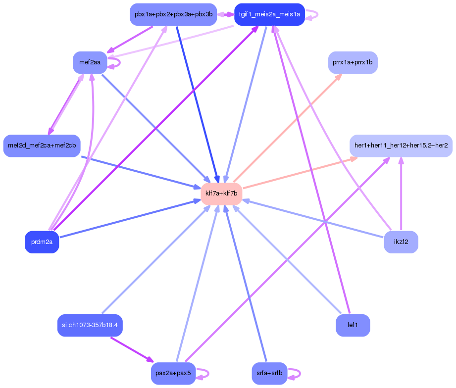 PNG image of the network