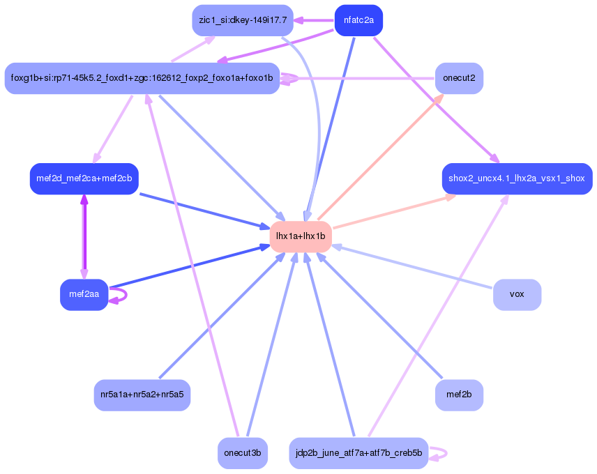 PNG image of the network