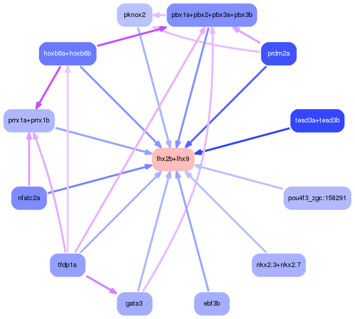 PNG image of the network