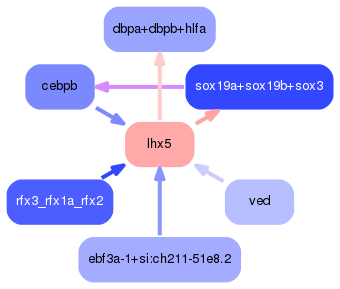PNG image of the network
