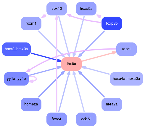 PNG image of the network