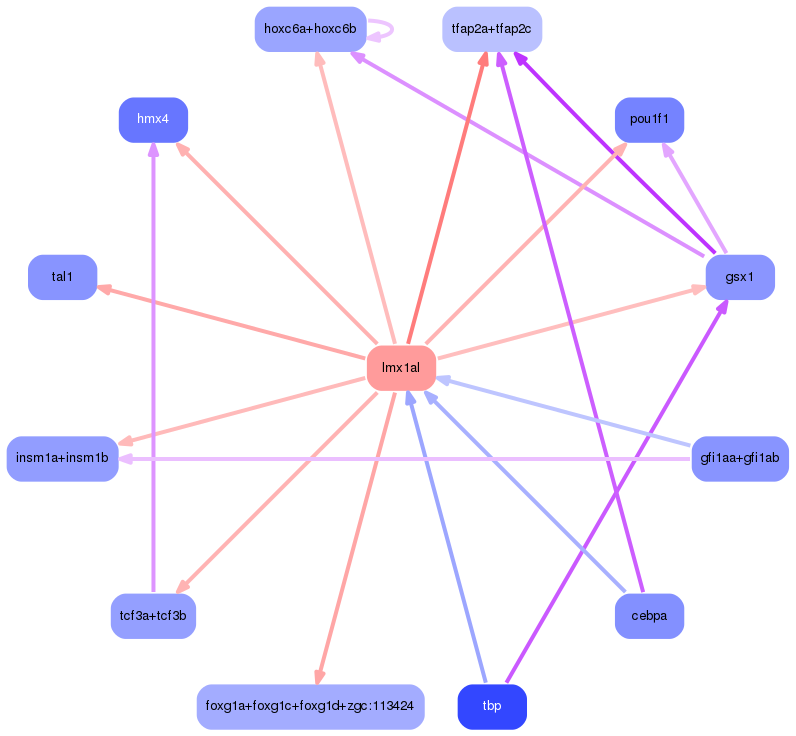 PNG image of the network