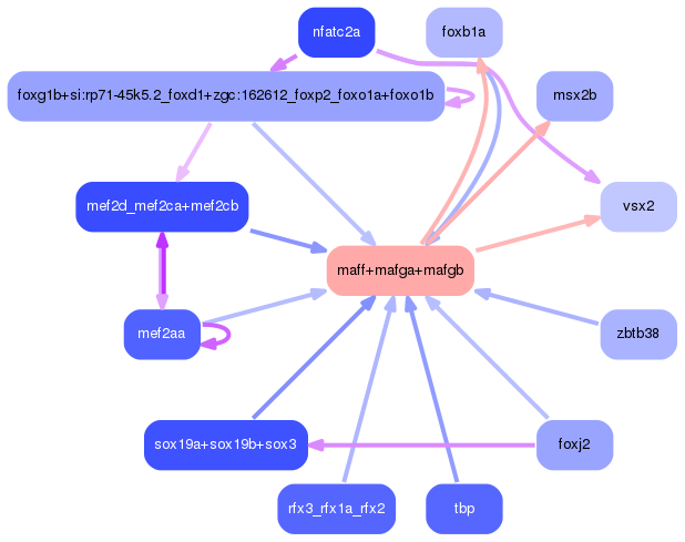PNG image of the network