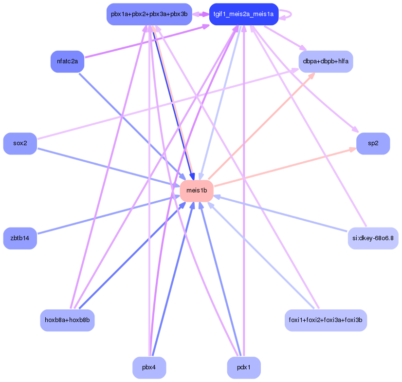 PNG image of the network