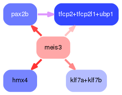 PNG image of the network
