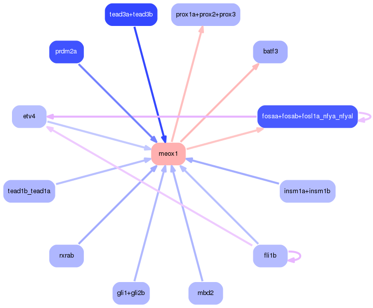 PNG image of the network