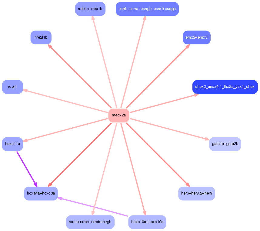 PNG image of the network
