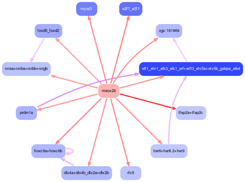 PNG image of the network