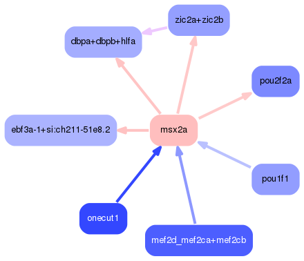 PNG image of the network