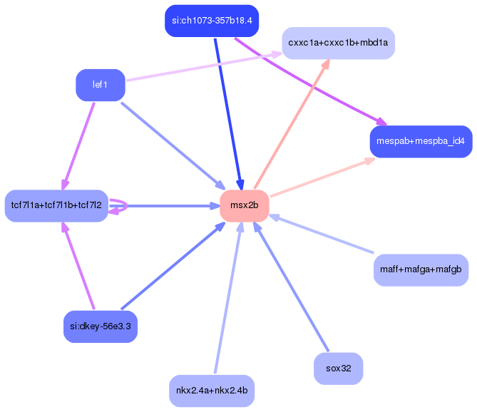 PNG image of the network
