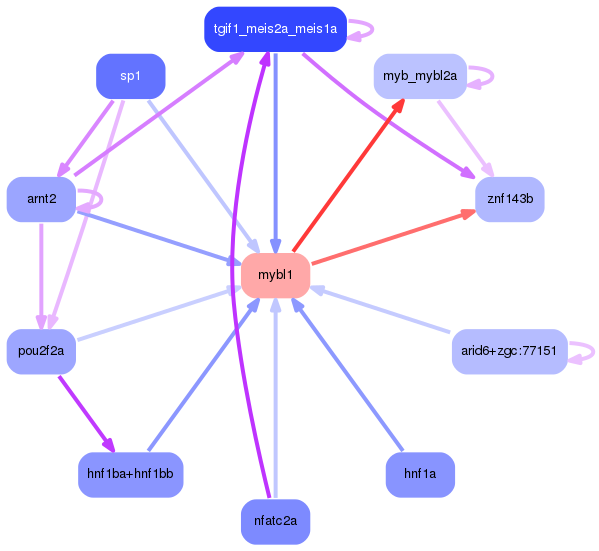 PNG image of the network