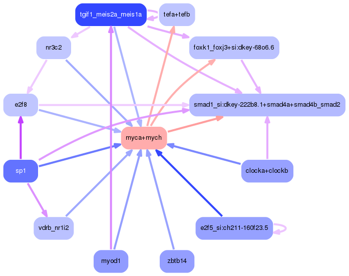 PNG image of the network