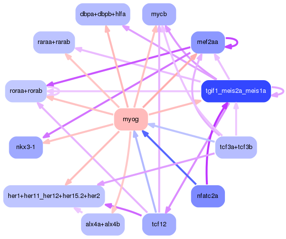 PNG image of the network