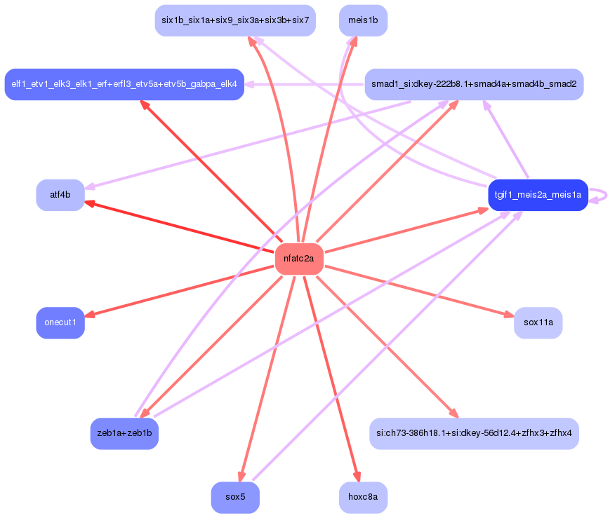 PNG image of the network