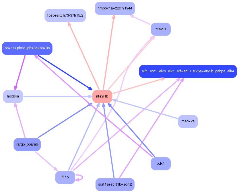 PNG image of the network