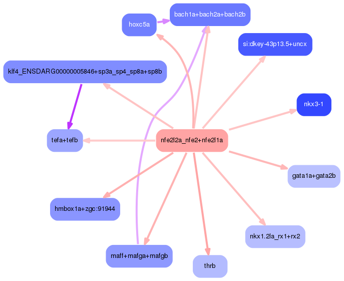 PNG image of the network