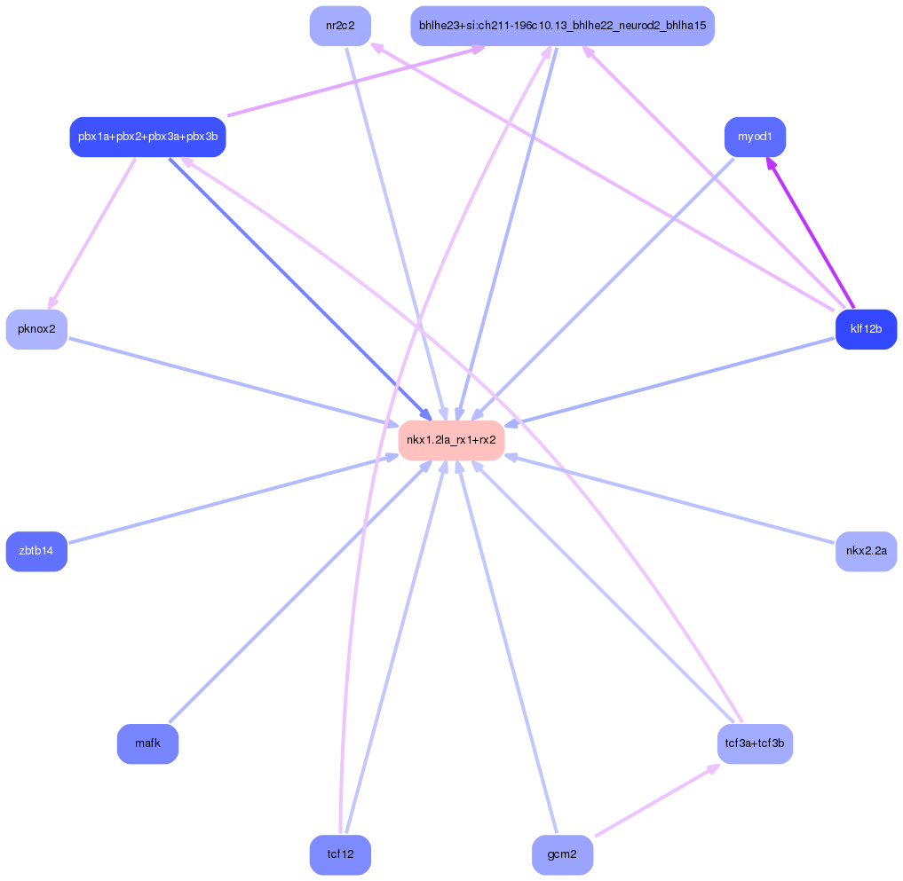 PNG image of the network