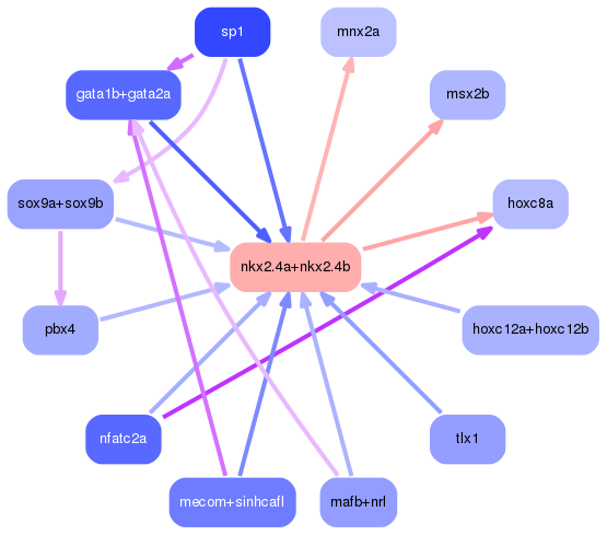 PNG image of the network