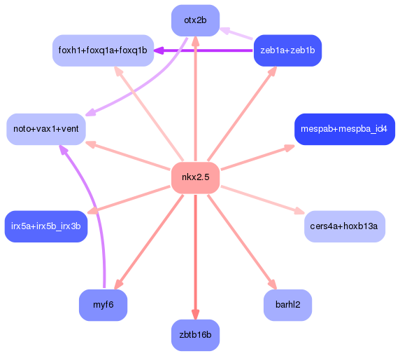 PNG image of the network