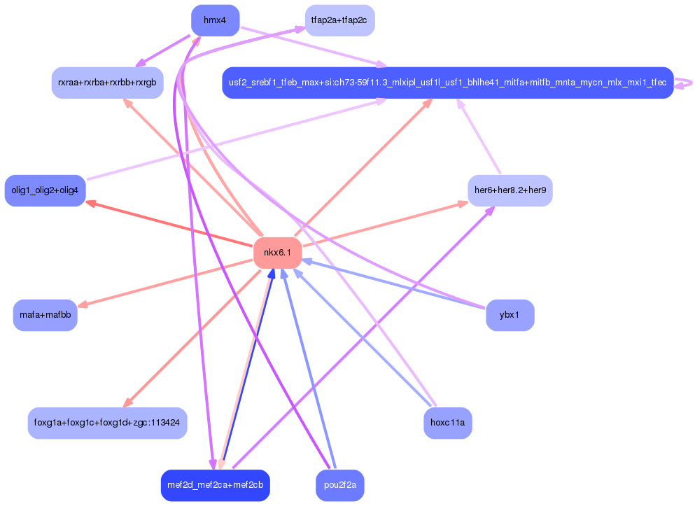 PNG image of the network