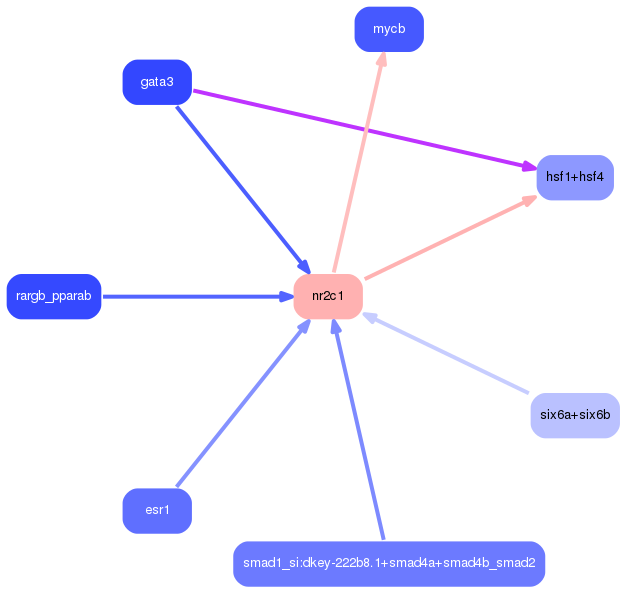 PNG image of the network