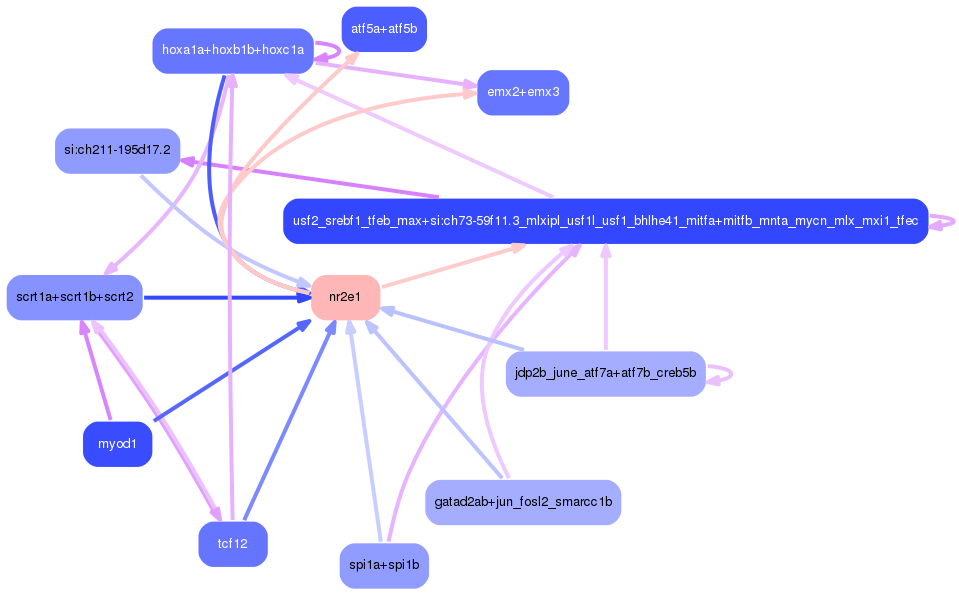 PNG image of the network