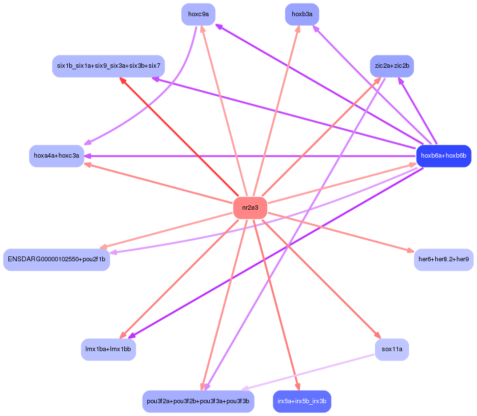 PNG image of the network