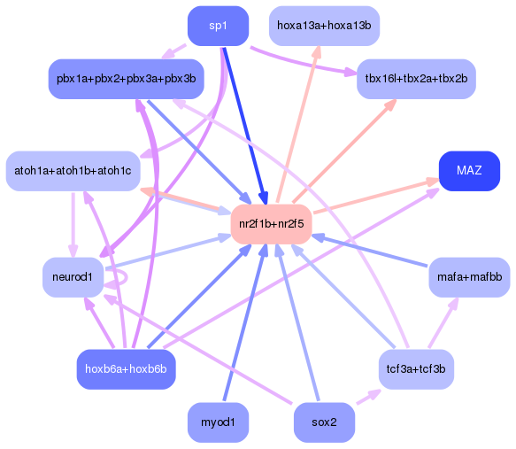 PNG image of the network
