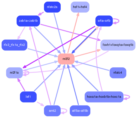 PNG image of the network