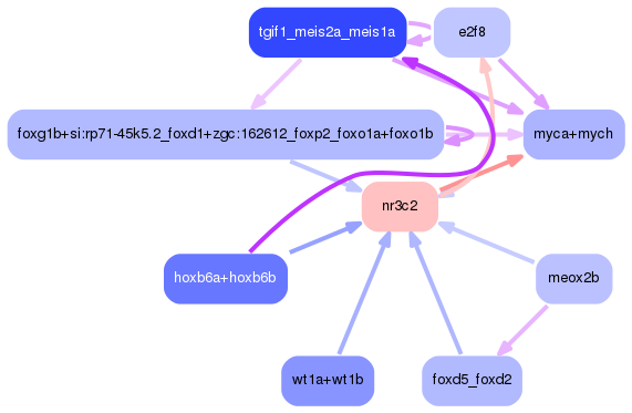 PNG image of the network