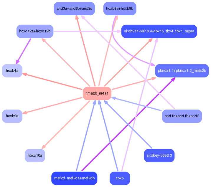 PNG image of the network