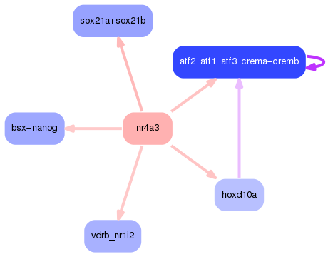 PNG image of the network
