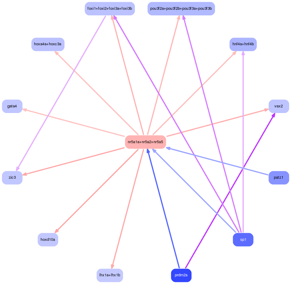 PNG image of the network