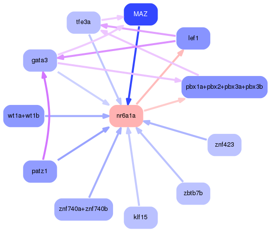 PNG image of the network