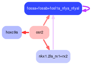 PNG image of the network