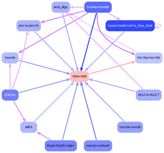 PNG image of the network