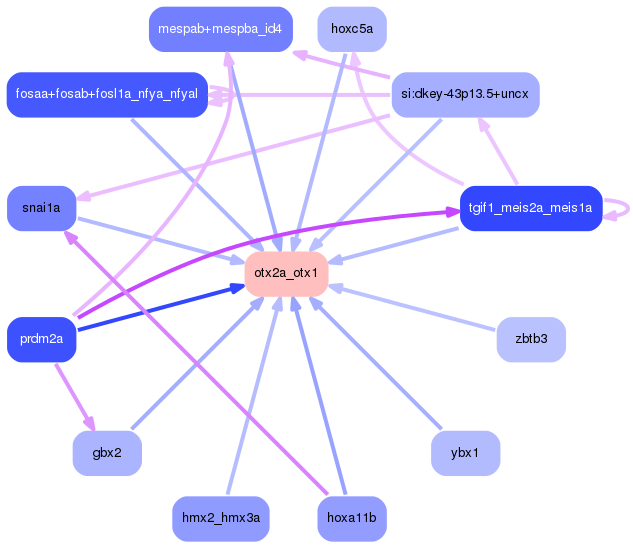 PNG image of the network