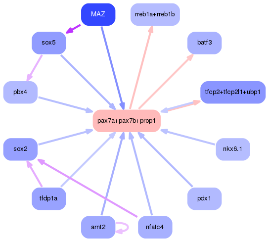 PNG image of the network