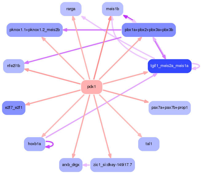 PNG image of the network