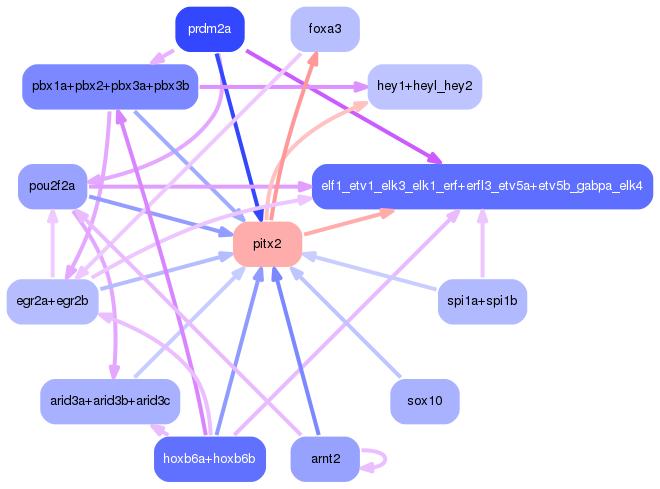 PNG image of the network