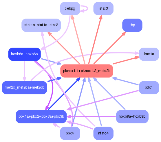 PNG image of the network