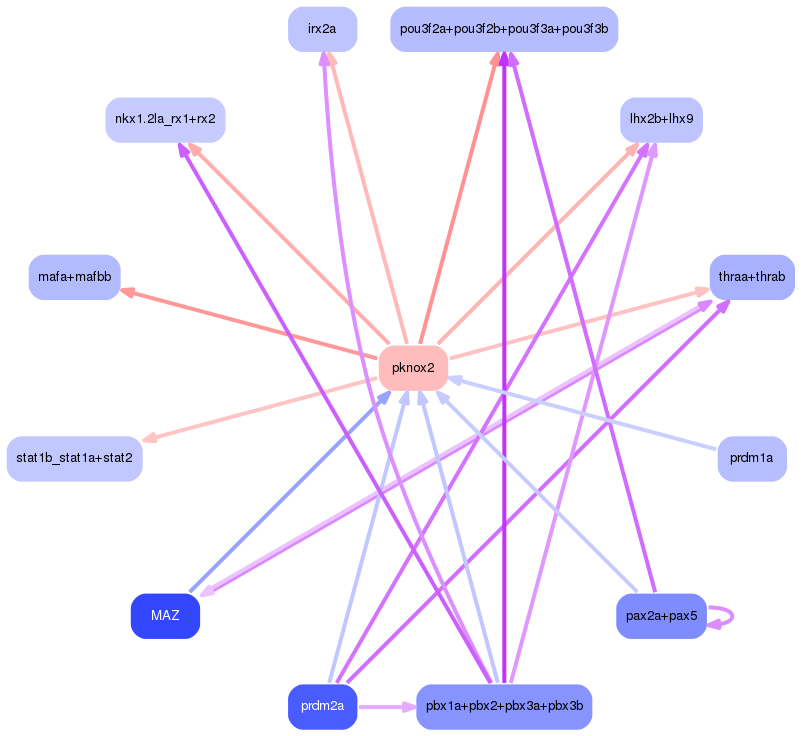 PNG image of the network