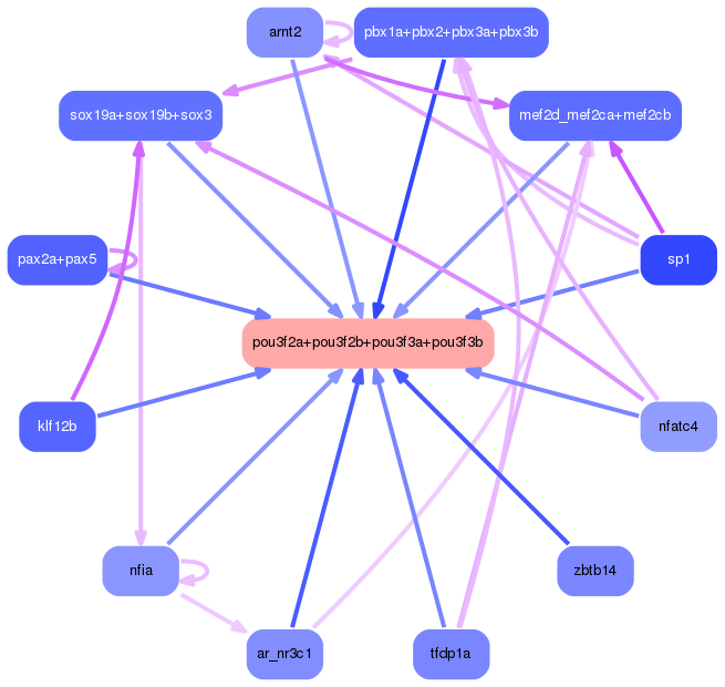 PNG image of the network