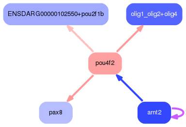 PNG image of the network