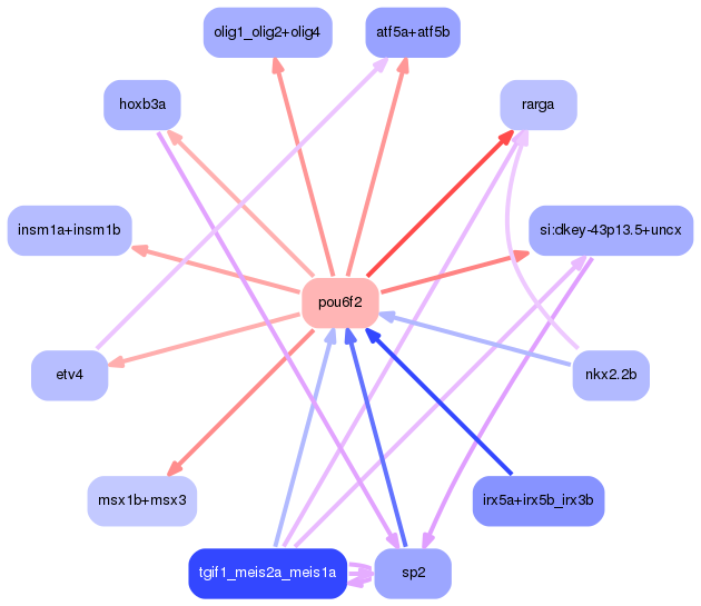 PNG image of the network