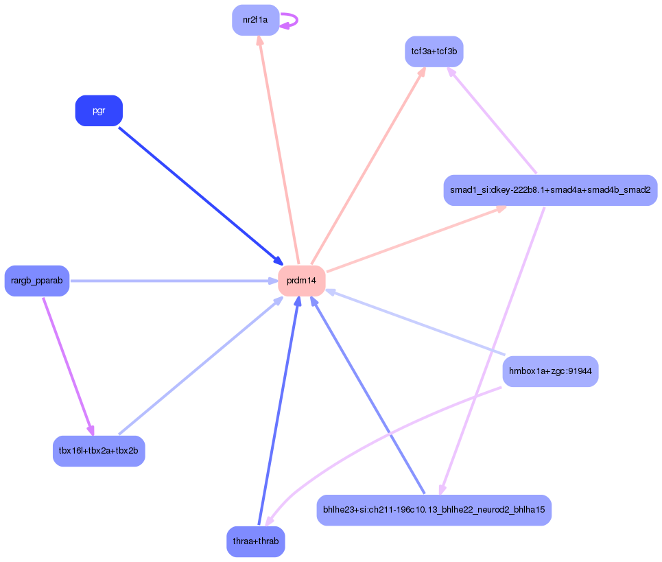 PNG image of the network